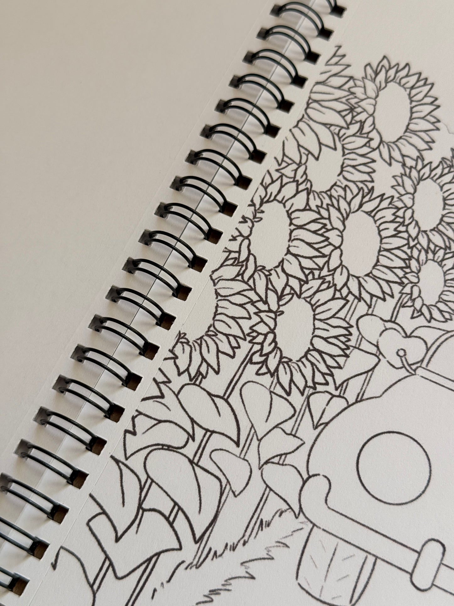 Moss & Tilly | COLORING BOOK