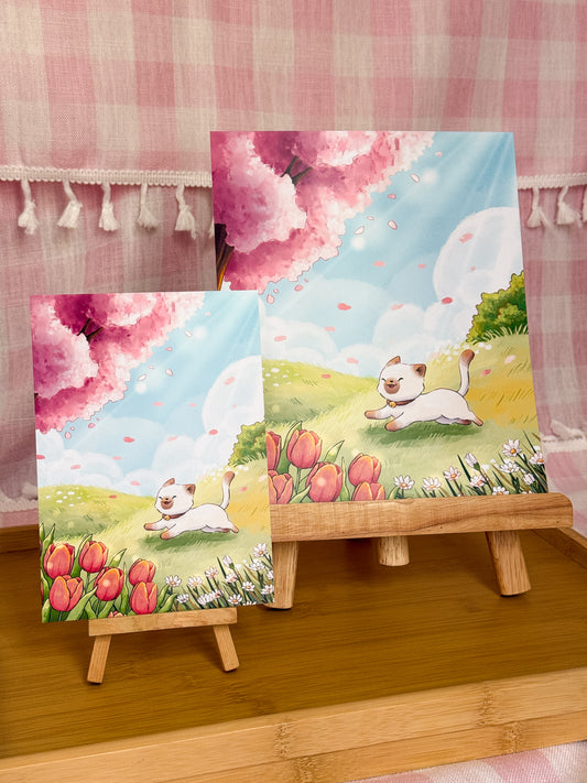 Cherry blossom | Patreon rewards