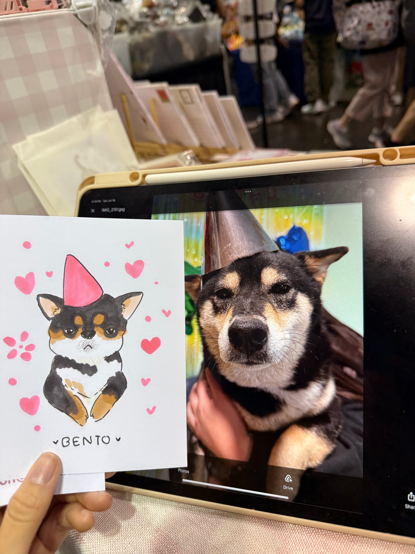 Pet portrait