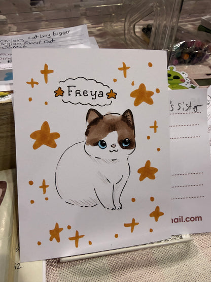 Pet portrait