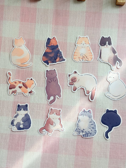 Chonky cats | Vinyl sticker