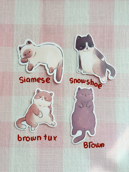 Chonky cats | Vinyl sticker