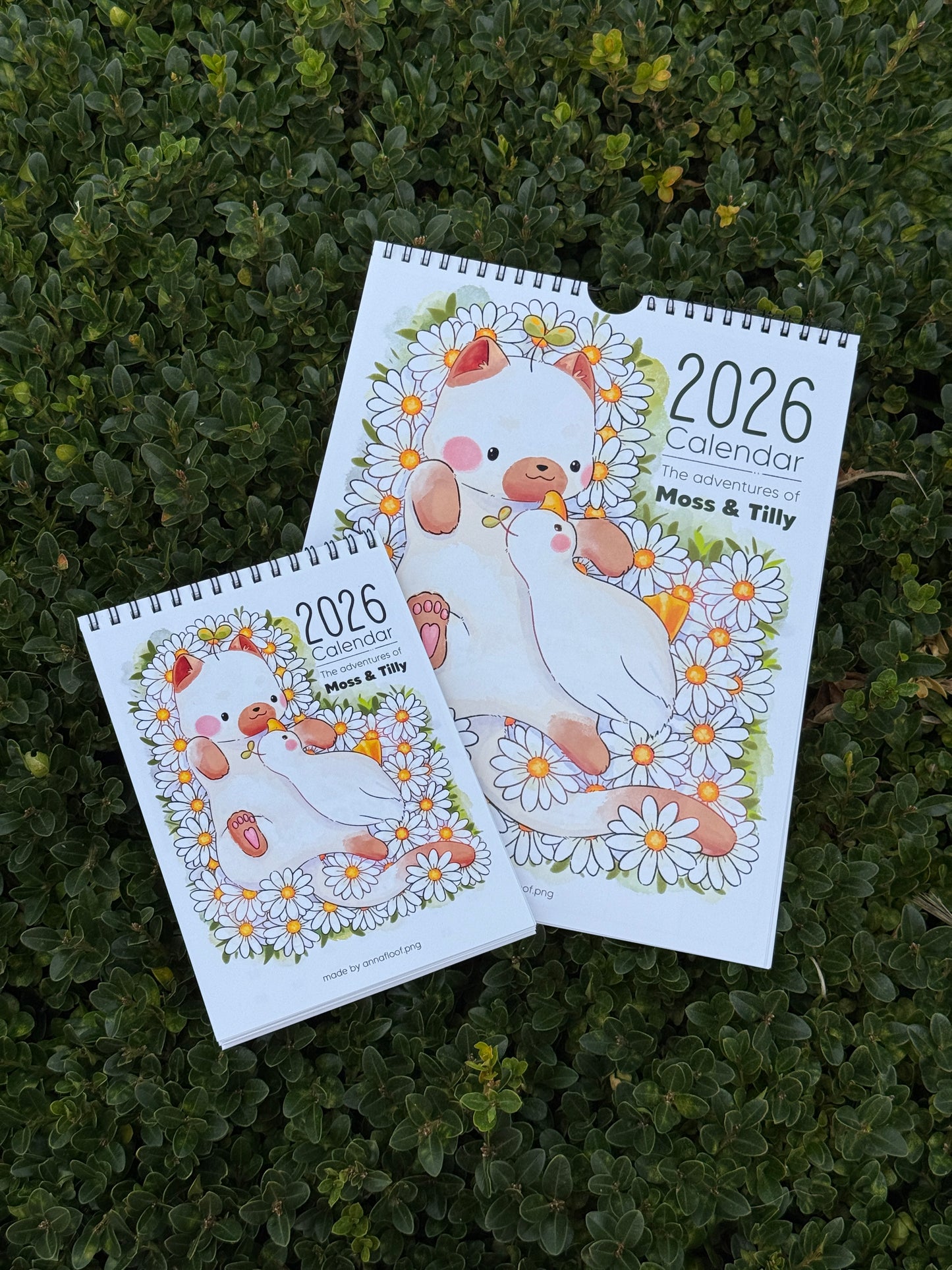 The adventures of Moss and Tilly | 2026 Calendar